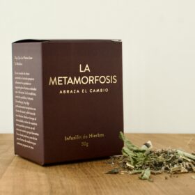 La Metamorfosis: Abraza el Cambio