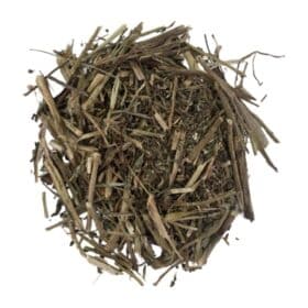 Echinacea