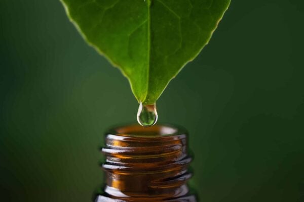 La Diferencia Entre Los Aceites Esenciales y Las Esencias - Mama Bruja